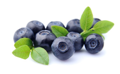 Blueberries with leaves
