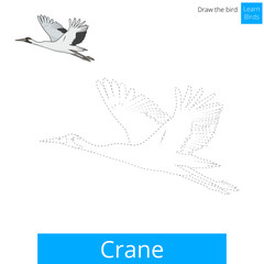 Crane bird learn to draw vector