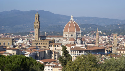 Fototapeta na wymiar Florence. View of the town from the hills