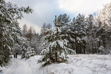 The beginning of winter.