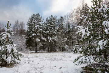 The beginning of winter.