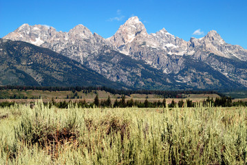 Grand Teton Range, Wyoming, USA 