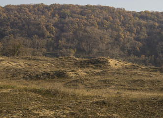 The view from the valley to the wooded hill