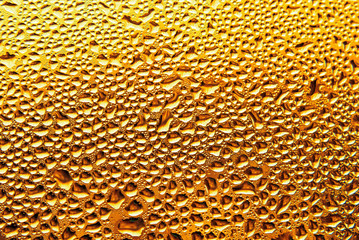 golden water drops on the window