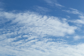 Fototapeta premium Blue sky with clouds 