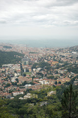 Fototapeta na wymiar Trieste from above