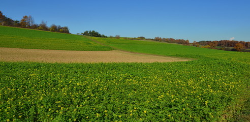 Herbstliche Felder und Wälder