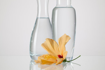 Two vases with clean water and hibiskus flower © Radomir Rezny
