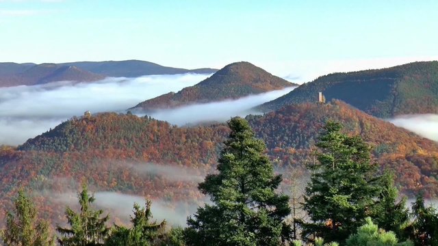 Gipfelausblick im Pf&auml;lzerwald