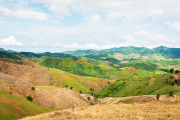 Fototapeta premium agriculture on Mountain, Nan Province, Northern of Thailand.