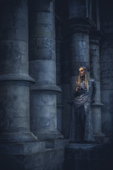 The king of elves in old ruined city