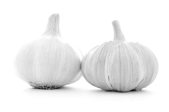 Whole clear clean garlic bulbs isolated on white background