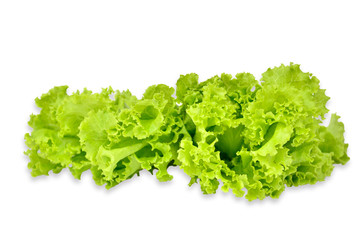 lettuce