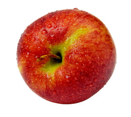  red apple isolated