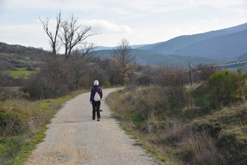Obraz premium caminando por la ruta del ferrocarril minero