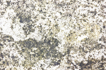 Green rotten dirty wall texture.