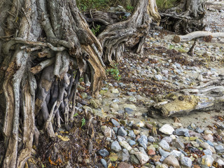 corrosion on the shore