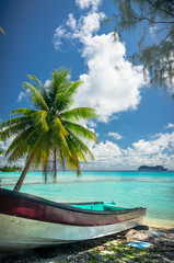 Obraz na płótnie Canvas Paradise view of Rangiroa atoll, French Polynesia