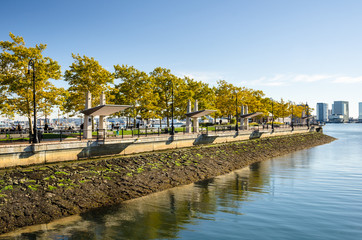 Harborside Park in Autumn