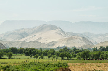 Fototapeta na wymiar Lluta Valley landscape