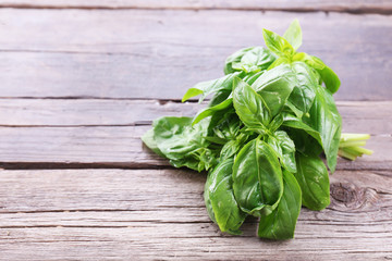 Green fresh basil on wooden background