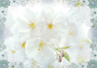 Weiße Kirschblüten mit Regentropfen-Textur und Blütenrahmen