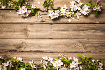 Apple blossoms on wooden surface. Spring background