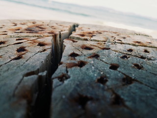 Tronco reutilizado para criar bancos.