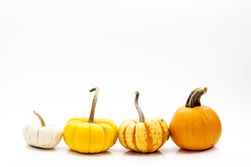 Small Ornamental Gourds for Autumn