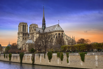 Fototapeta na wymiar Evening Notre Dame