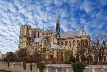 Fototapeta na wymiar Notre Dame De Paris