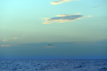 Obraz premium Beautiful summer sea sunset