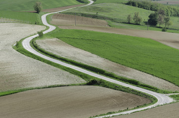 Strada senza traffico