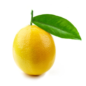 fresh ripe lemon