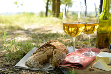 Beautiful composition of white wine, cheese, nuts and bread on the ground in the park