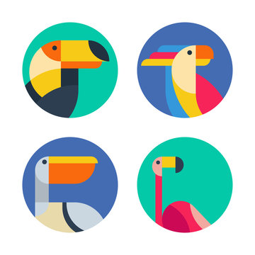 Set of vector logo, badges, labels with exotic tropical birds.
