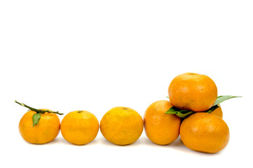 golden oranges on white background