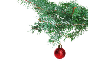 Obraz na płótnie Canvas Christmas red bauble on a fir branch, isolated on white