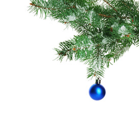 Christmas blue bauble on a fir branch, isolated on white