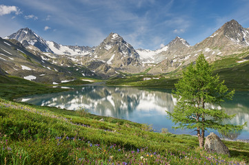 Beautiful summer landscape, Altai mountains Russia.