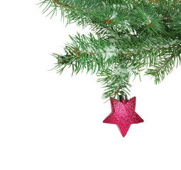 Christmas toy on a fir branch, isolated on white
