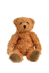 Brown teddy bear on white