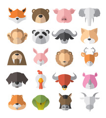 animal set