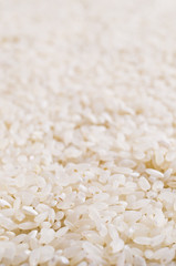 Raw white rice.