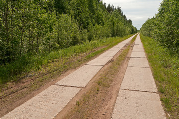 Fototapeta na wymiar Straight road made of concrete pavement plates surrounded by green forest recedes into the distance under cloudscape blue sky. 