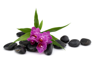 Zen pebbles and orchid flower. Stone spa and healthcare concept.