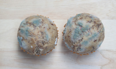 Banana cupcake with mold fungus