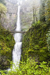 Scenic Multnomah Falls in Oregon