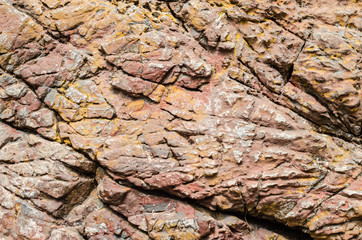 Brown background of skin rock