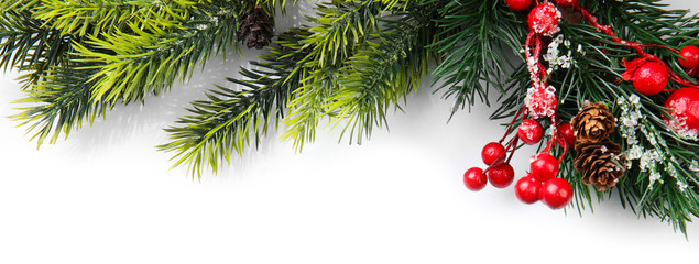 Christmas tree branch with red berries on white background